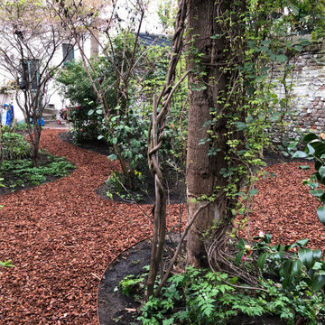 Jardin de 200m2 à Schaerbeek - Arboretum privé