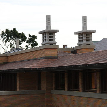 Frank Lloyd Wright's - The Darwin Martin Complex