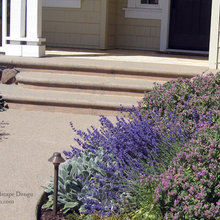 Landscape Ideas