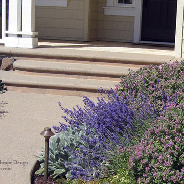 Mediterranean Front Hillside Garden - Novato, California