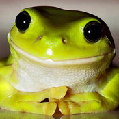 Eric Swenson's photo