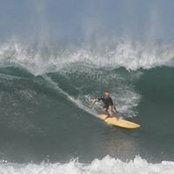 Brian Markle's photo