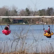 Tammy Layman's photo