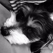 Tammy Peoples's photo