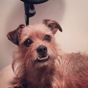 Steph Emilienburg's photo