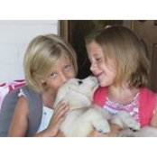 Lisa Palmisano's photo