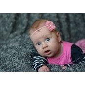 Michelle Sperr's photo