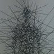 tom sullivan's photo