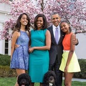 Tom Adrahtas's photo