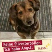 Foto von Viviane Jäger