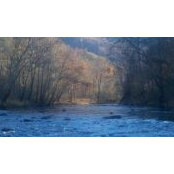 Mary Russell's photo