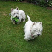 Jill Johnson's photo
