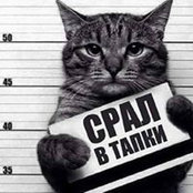 Саня Сулейманов's photo