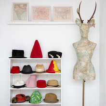 Display shelves