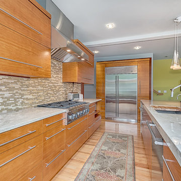 Martin House Remodel - Kitchen