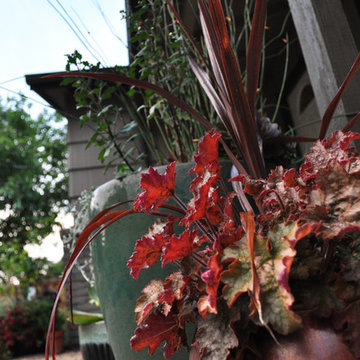 Front Garden Private Paradise