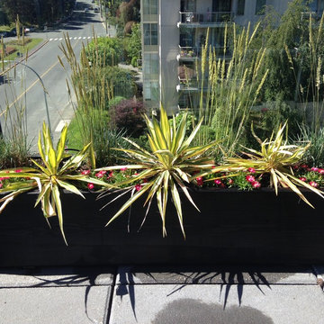 Contemporary Patio James Bay
