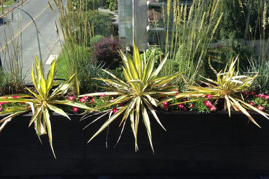 This is an example of a contemporary courtyard concrete paver landscaping in Vancouver.