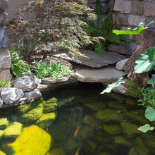 Landscape Ideas
