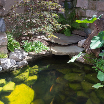 Garden Ponds, Back Yard Ponds, Landscape Ideas, Baltimore County, Maryland (MD)