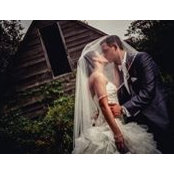 Katie Schweigman's photo