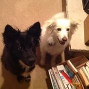Beth Keegan Brakauskas's photo