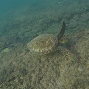 Lizette Montague's photo