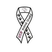 Suzanne Dumais's photo