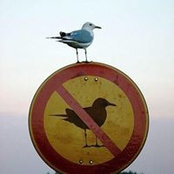 Dave Kuhar's photo
