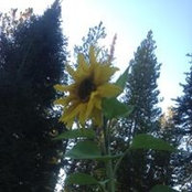 Bari Bucholz's photo