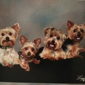 Michele Housley's photo