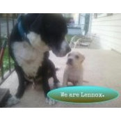 Mandy Hager's photo