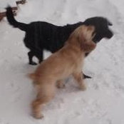 Sharon Stran's photo