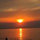 webuser_8087744