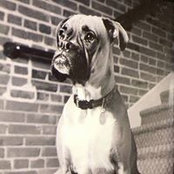 Brian Miller's photo