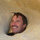 Robert McGowan