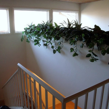 San Diego - Residential Elevator