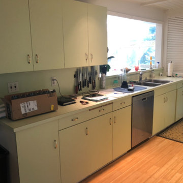 Mid-Century Dream