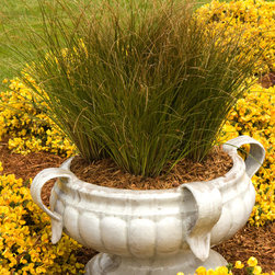 Orange New Zealand Sedge - Area Rugs