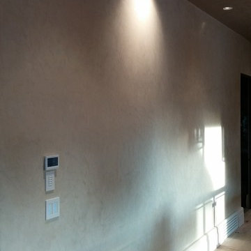 Venetian Plaster Calgary-Artesia Community,Calgary SE