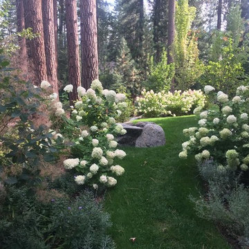 Enchanted Tahoe