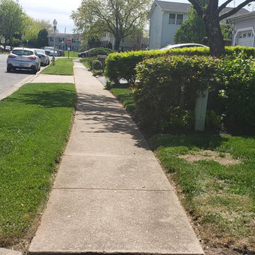 Sidewalk Landscaping