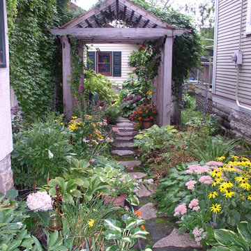Backyard Paradise