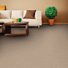 Basement carpet