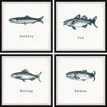Anchovy and Salmon Quadriptych, 4-Piece Set, 12x12 Panels