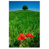 Michael Blanchette 'Red Poppies and Oak' Canvas Art, 32x22