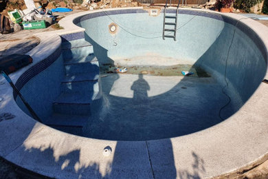 Diseño de piscina clásica grande tipo riñón en patio