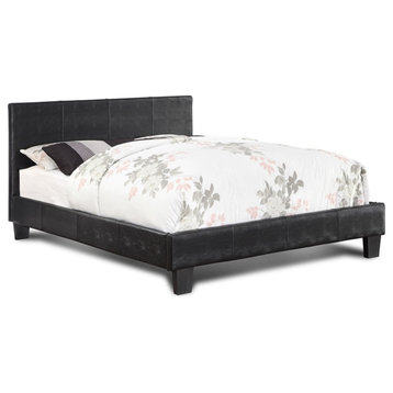 Furniture of America Nicole Faux Leather Queen Platform Bed in Black