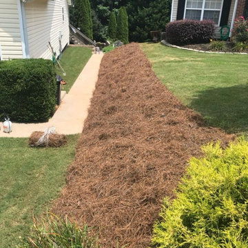 Hernandez Landscaping & Lawncare Llc 2