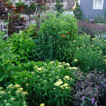 Urban Prairie- German Village
